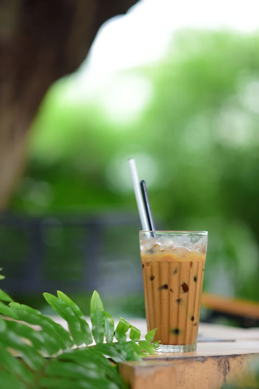 FLAVORS MILK TEA